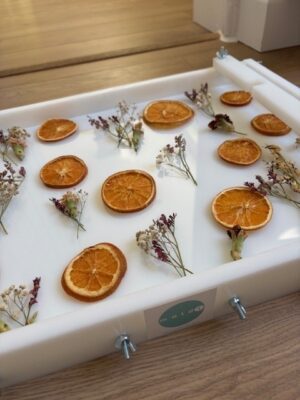 Moldi HDPE Mould Review 