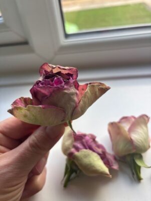 Dried flower colour correction