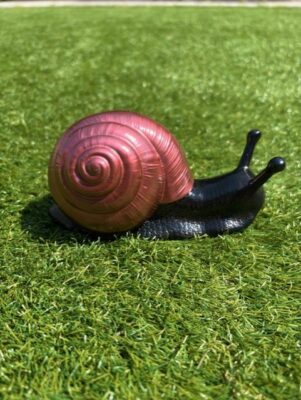 Lets Resin Snail