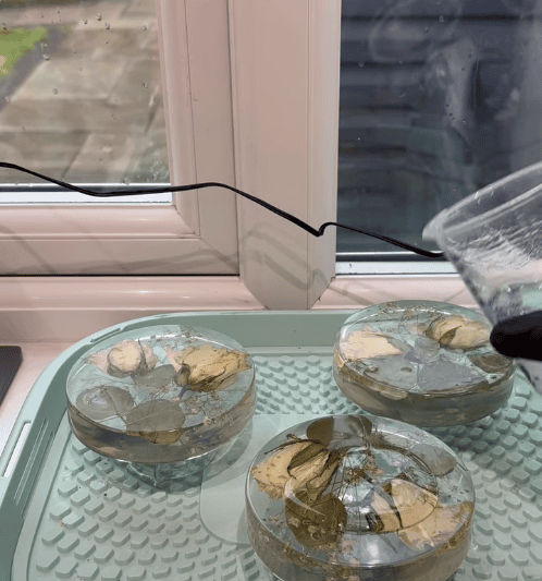 Epoxy Resin Flood Coat Tutorial