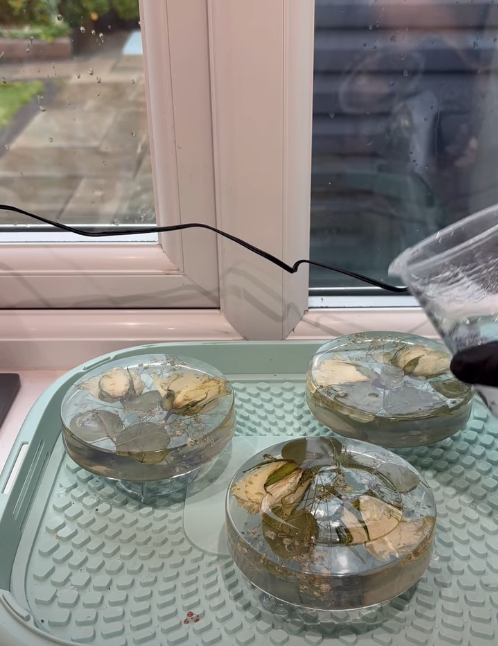 Epoxy Resin Flood Coat Tutorial